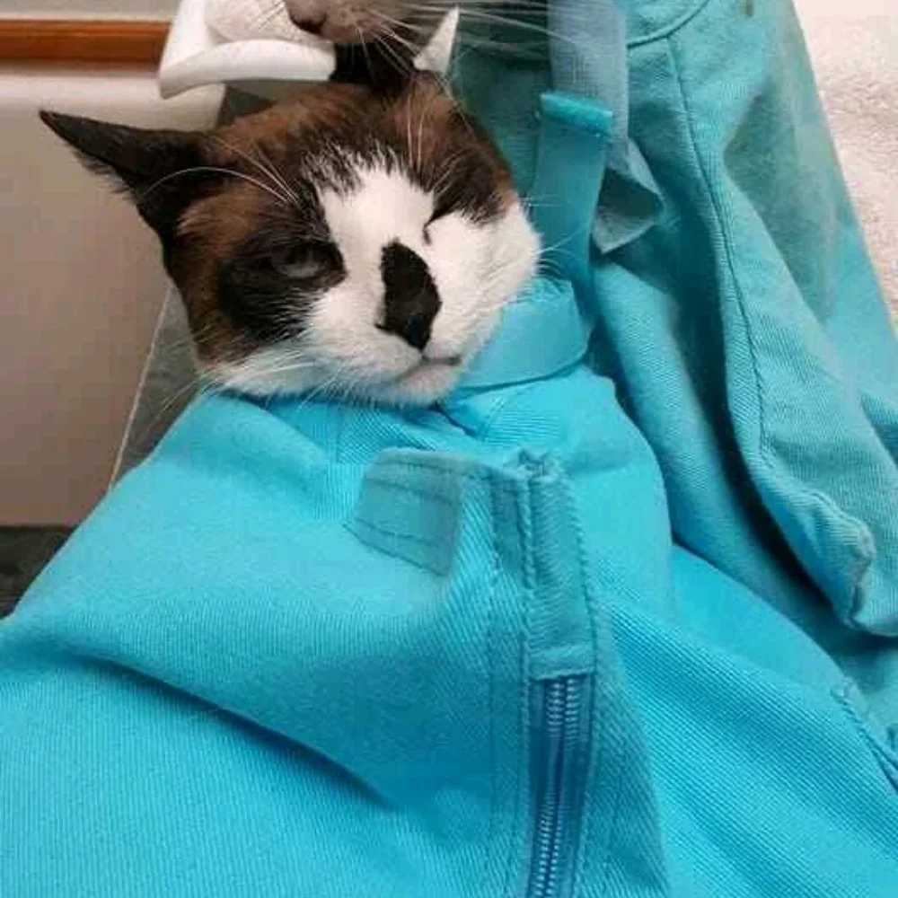 Cat-in-the-bag-Green. cat carriers soft cat bags for travel, medicating